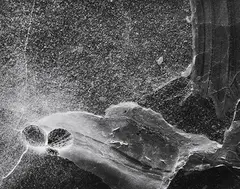 Waterfall and Rocks, by Ryuijie Douglas, circa 1980s, platinum/palladium print, sold Dec 2013