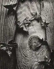 Ryuijie Douglas, Tribute, toned silver gelatin print