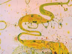 John Olsen, Wetlands, 1985, photolithograph 44/65