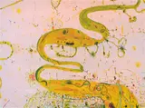 John Olsen, Wetlands, 1985, photolithograph 44/65