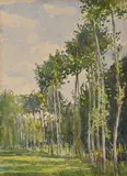 Jessie Traill, French Poplars