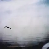 Shoshanna Jordan, Flight of Self, 2011, c-type photograph A/P