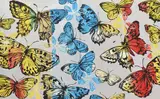 Butterflies by David Bromley, acrylic and silver leaf on canvas (diptych), sold Jul 2013