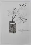 Charles Blackman, Potted Lillies