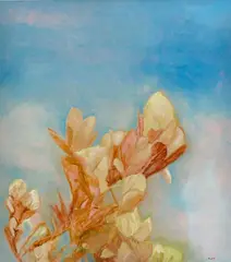 Richard Dunlop, Hinterland Magnolia, 1999, oil on canvas