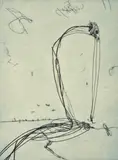 John Olsen, Lake Eyre in Flood