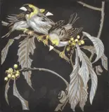 Norbertine Bresslern-Roth, Weaver Birds