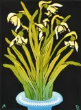Aileen Brown, Snowdrops