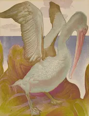 Murray Griffin, Pelican, linocut 23/26