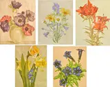 Ernst Rötteken, A group of five linocuts of still lifes, print (other)