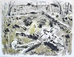 Mary Macqueen, Cockatoo County, lithograph A/P