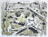 Mary Macqueen, Cockatoo County, lithograph A/P