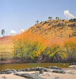 David Rose, Autumn at Macquarie River, 1993, screenprint 37/80