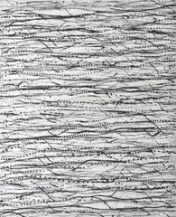 Kim Westcott, Little Desert, 1999, etching 4/7