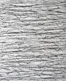 Kim Westcott, Little Desert, 1999, etching 4/7