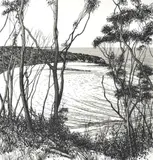David Rose, Bateau Bay with Kookaburra, 1983, screenprint 40/75