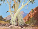 Leonard Long, The Gums of Ormiston, N.T., 1980, oil on canvas board