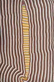 Charlie Tjapangati, Snake Dreaming at Urapalgna, 1988, acrylic on linen