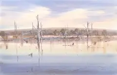 John Borrack, Gippsland Grey Glenmaggie, 1985, watercolour