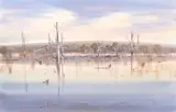 John Borrack, Gippsland Grey Glenmaggie, 1985, watercolour