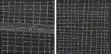 Dorothy Napangardi, Pair of works titled Mina Mina