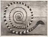 Geoff Ricardo, The Long Snake, 1997, etching and aquatint T/P