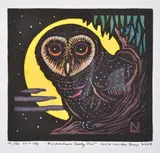 Leslie van der Sluys, Australian Sooty Owl, 2003, linocut 19/90