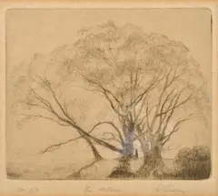 Elioth Gruner, The Willows, drypoint no. 27