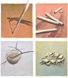 Hanna Kay, Set of Four Works:, screenprints 48/50 (4)