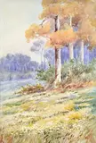 Ellis Rowan, Hillside