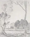 Lloyd Rees, Trees Near Sydney, pencil on paper