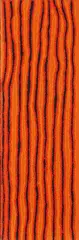Rubilee Naparrula, Soakage site at Yuwalki, 2008, acrylic on linen