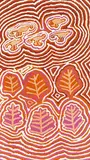 Linda Walker Naparrula, Pintuti, acrylic on linen