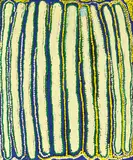 Nancy Taylor Kanu, Jantinti (Big Claypan in Karnu Country), 2009, acrylic on linen