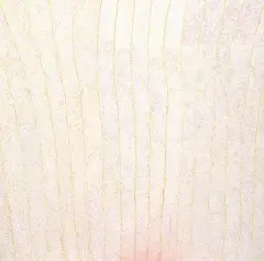 Kathleen Petyarre, Seeds of Arnkerrthe IV, 1999, synthetic polymer paint on canvas