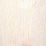 Kathleen Petyarre, Seeds of Arnkerrthe IV, 1999, synthetic polymer paint on canvas
