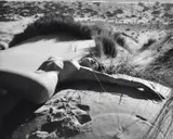 Nude Draped on the Sand by Gordon De Lisle, vintage bromide photograph, sold Jul 2012