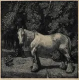 Lionel Lindsay, The White Horse