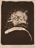 John Olsen, Echidna in Dark Puddle