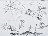 Flora and Fauna by Charles Blackman, ink on paper, sold Sep 2012
