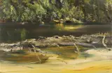 Geoffrey Dyer, King River Tasmania I