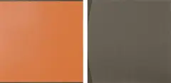 Craig Easton, Scanner/Skin, 1998, acrylic on canvas (diptych)