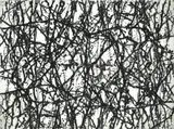Kim Westcott, Kelly I, 2003, etching 6/12