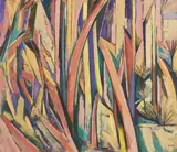 Jennifer Plunkett, Forest After Rain, 1995, oil on canvas