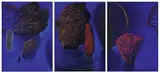 Ronald Quick, Water Dreams, 1999, pastel (triptych)