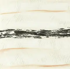 Kate Briscoe, Earth Lines - Rockface, Depot Beach #5, 2004, mixed media on canvas