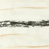 Kate Briscoe, Earth Lines - Rockface, Depot Beach #5, 2004, mixed media on canvas