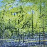 Clem Millward, Wattle Thicket, 1995, screenprint 9/95