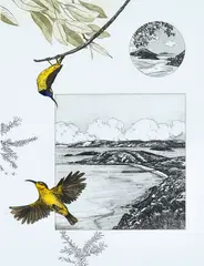 Pamela Griffith, Tropical Sun Bird and Whitsunday Passage, hand coloured etching 53/60