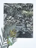 Pamela Griffith, Rocket Frog and Dainty Tree Frog, hand coloured etching 36/60